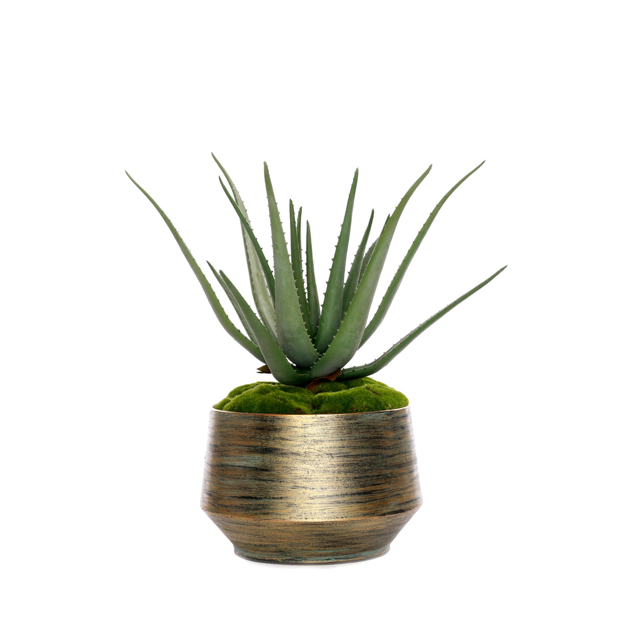 Real Touch Agave Plant/Moss in Green Gold Metal Planter #S-70