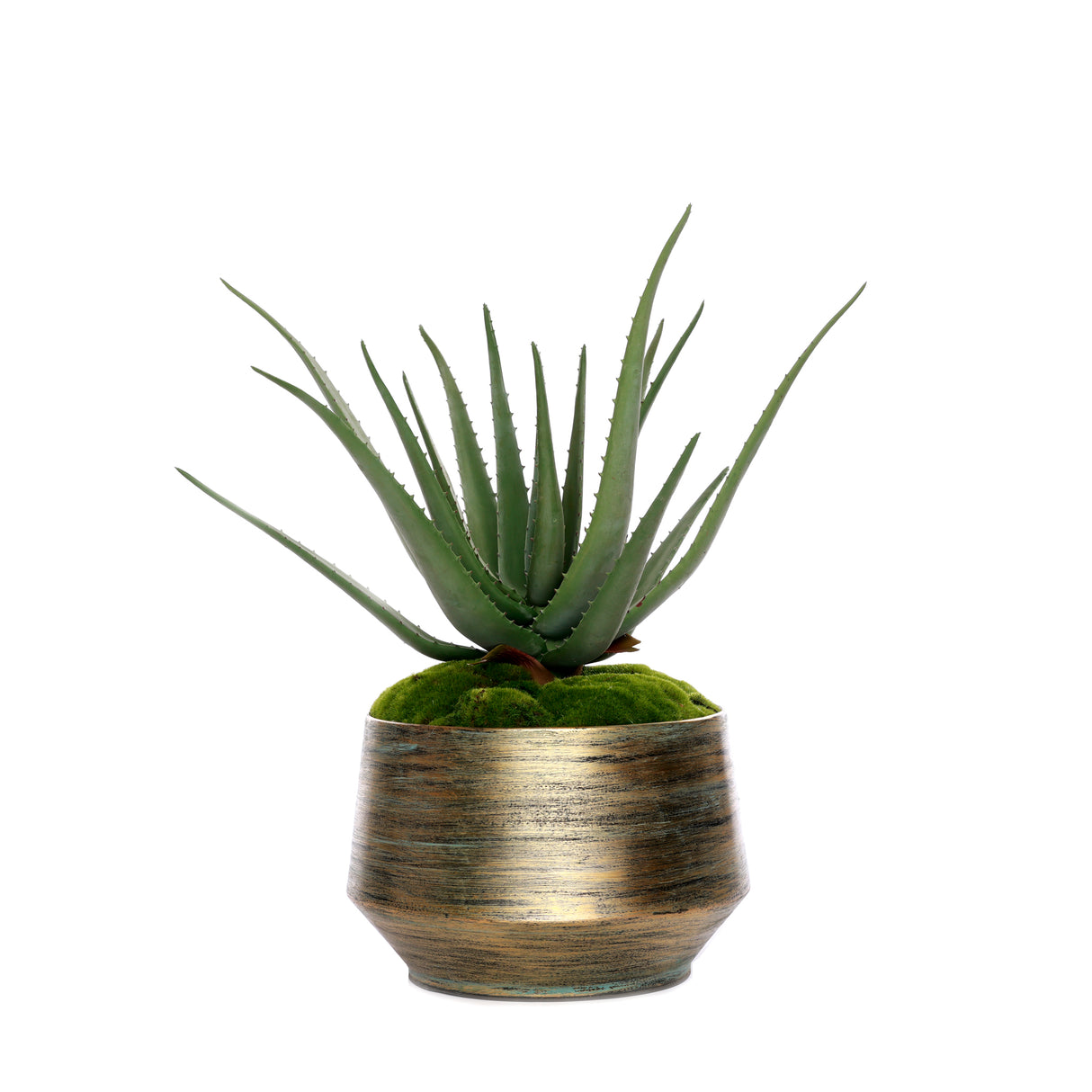 Real Touch Agave Plant/Moss in Green Gold Metal Planter #S-70
