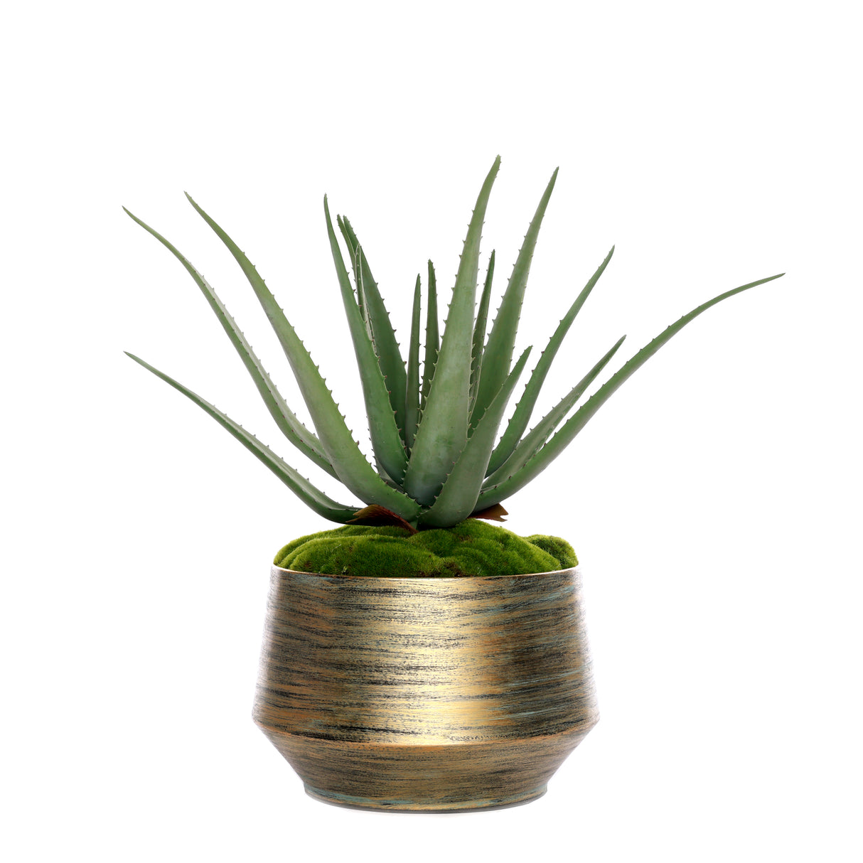 Real Touch Agave Plant/Moss in Green Gold Metal Planter #S-70