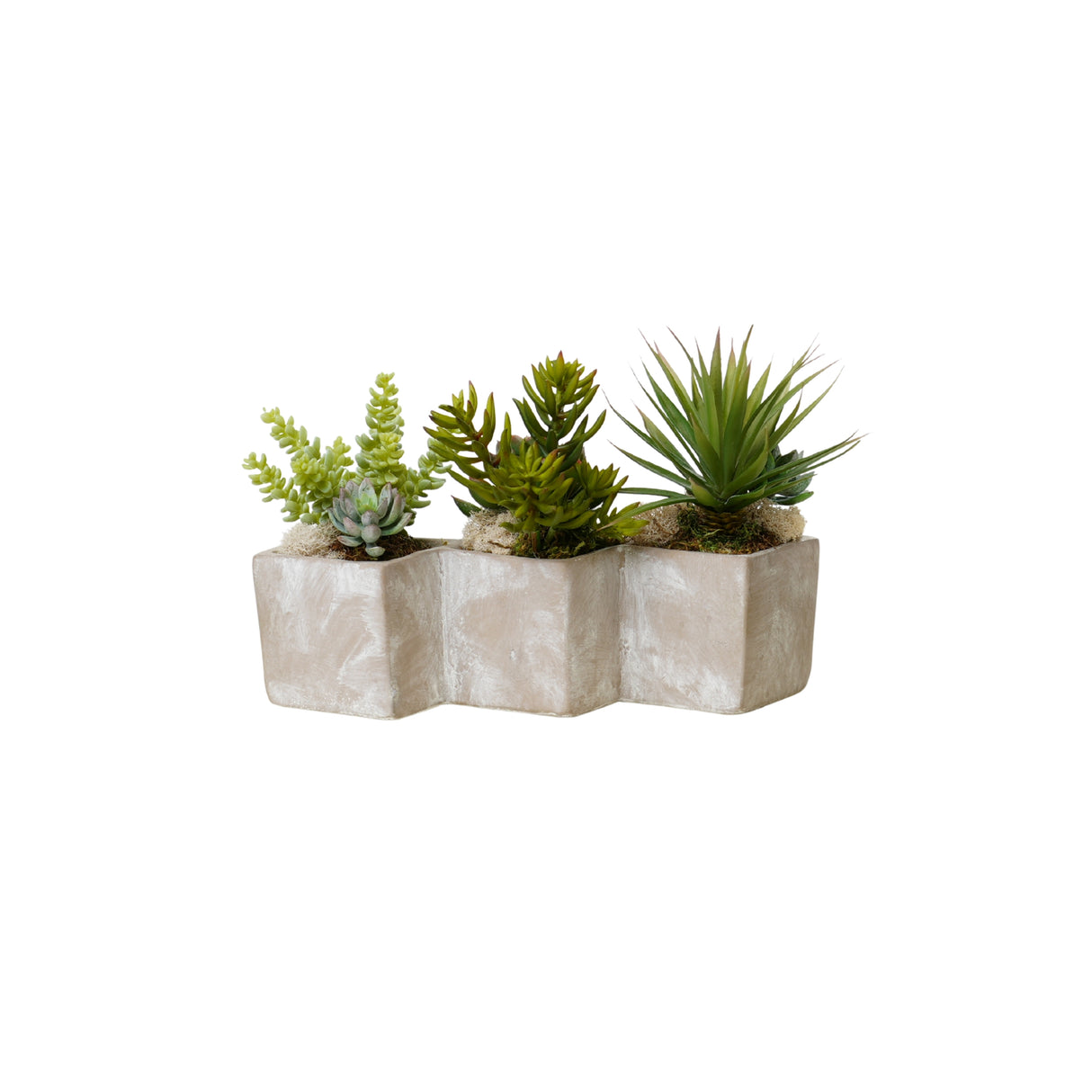 Succulents Arrangement in Concrete Triple Pot #S-73