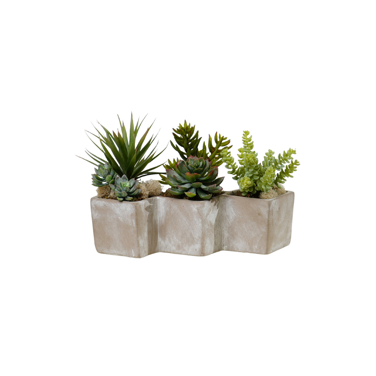 Succulents Arrangement in Concrete Triple Pot #S-73
