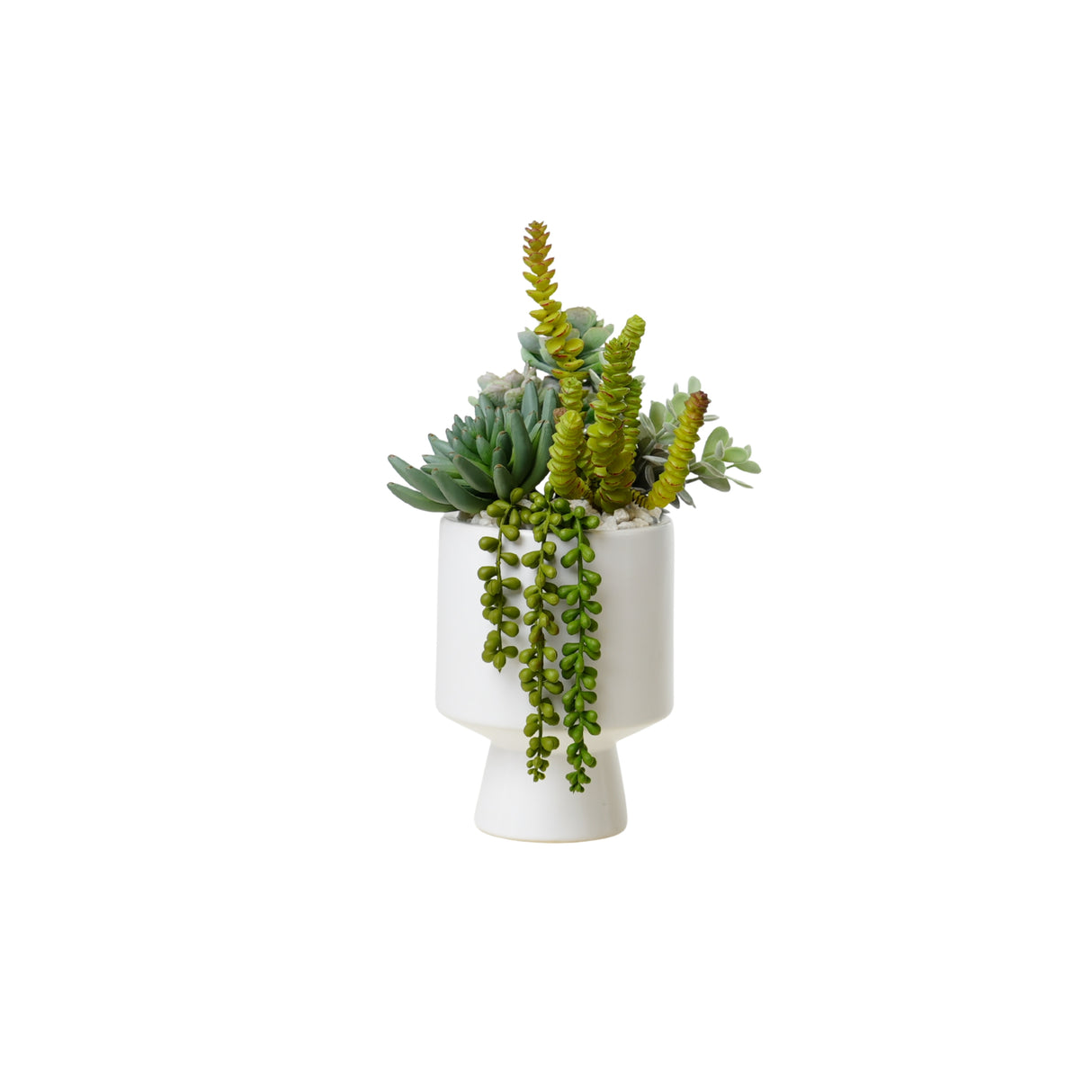 Succulents Arrangement in White Cylinder Urn #S-75