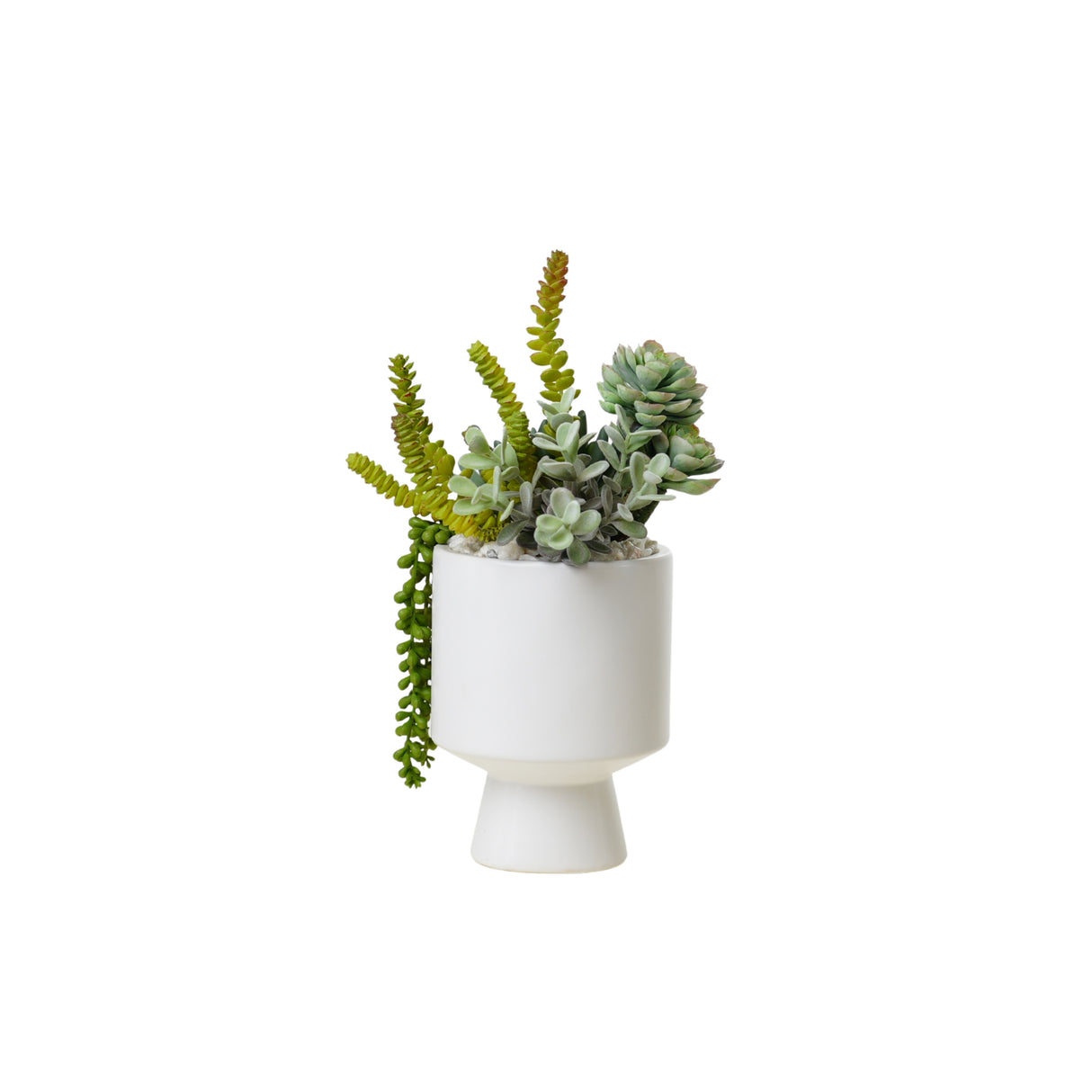 Succulents Arrangement in White Cylinder Urn #S-75