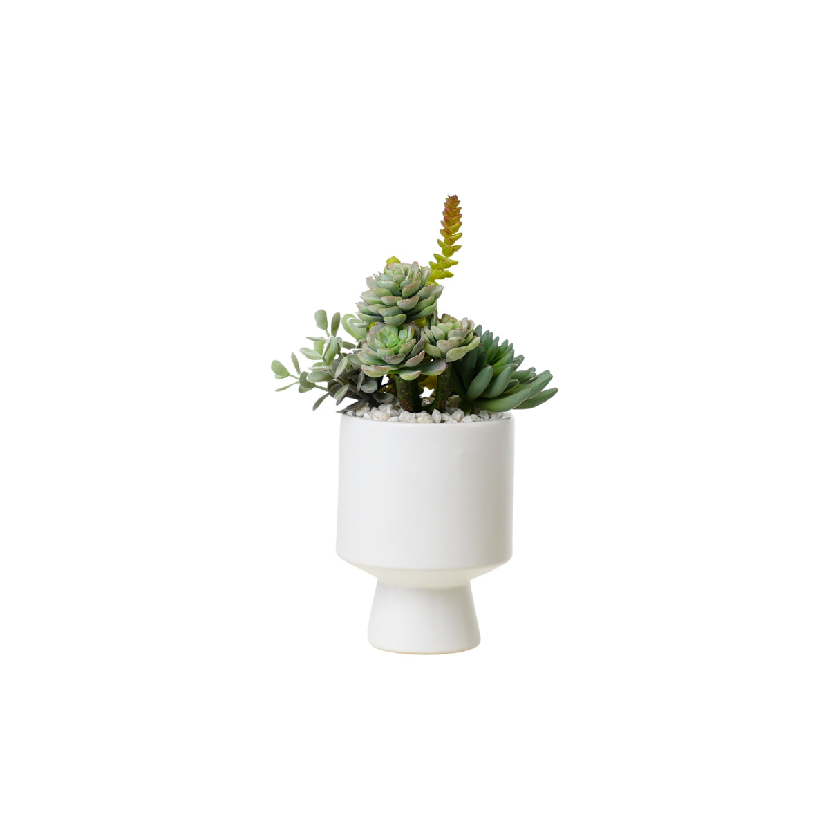 Succulents Arrangement in White Cylinder Urn #S-75