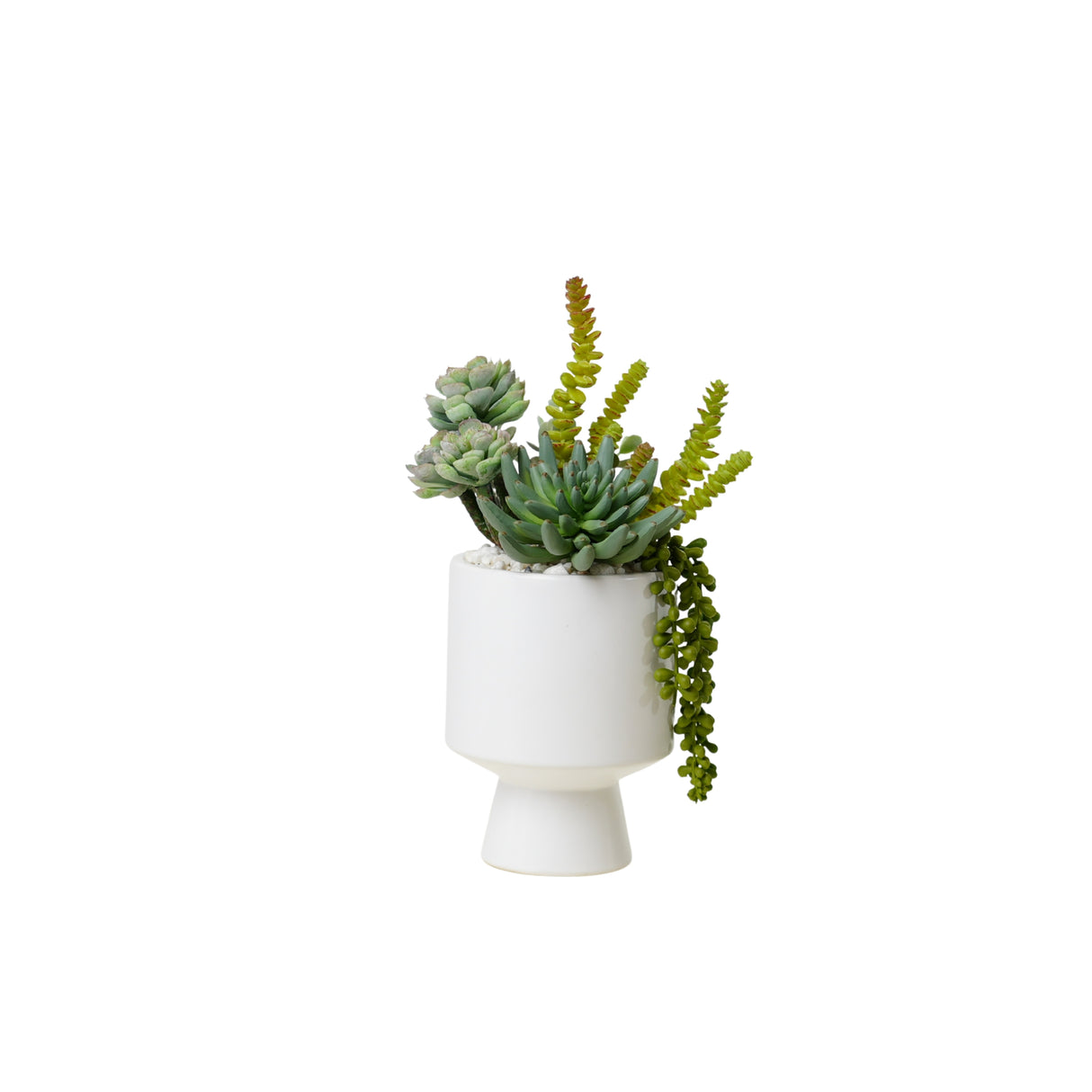 Succulents Arrangement in White Cylinder Urn #S-75