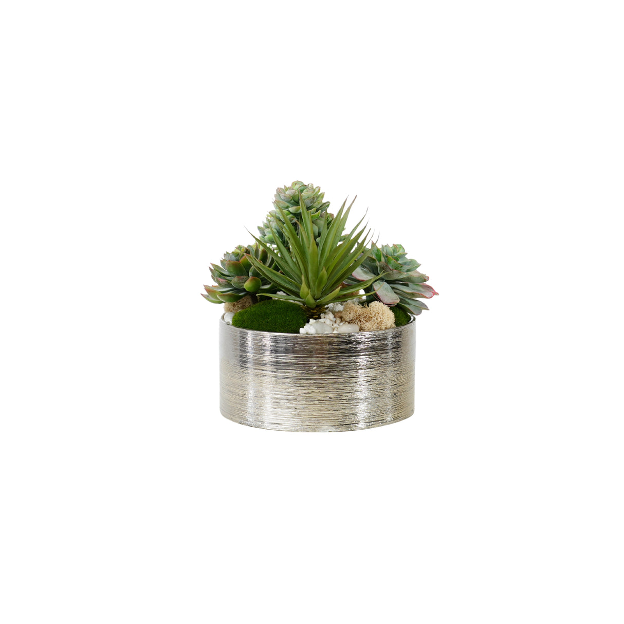 Succulents Arrangement in Silver Etched Bowl #S-76