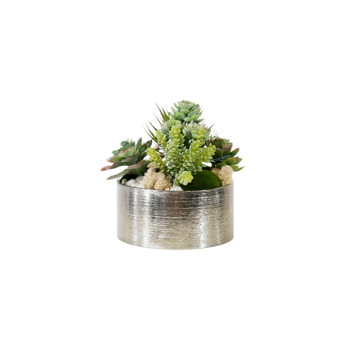 Succulents Arrangement in Silver Etched Bowl #S-76