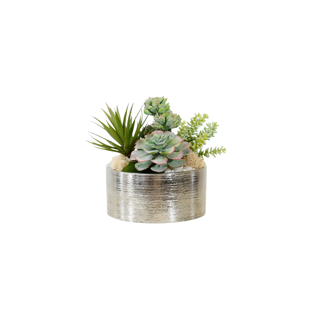 Succulents Arrangement in Silver Etched Bowl #S-76