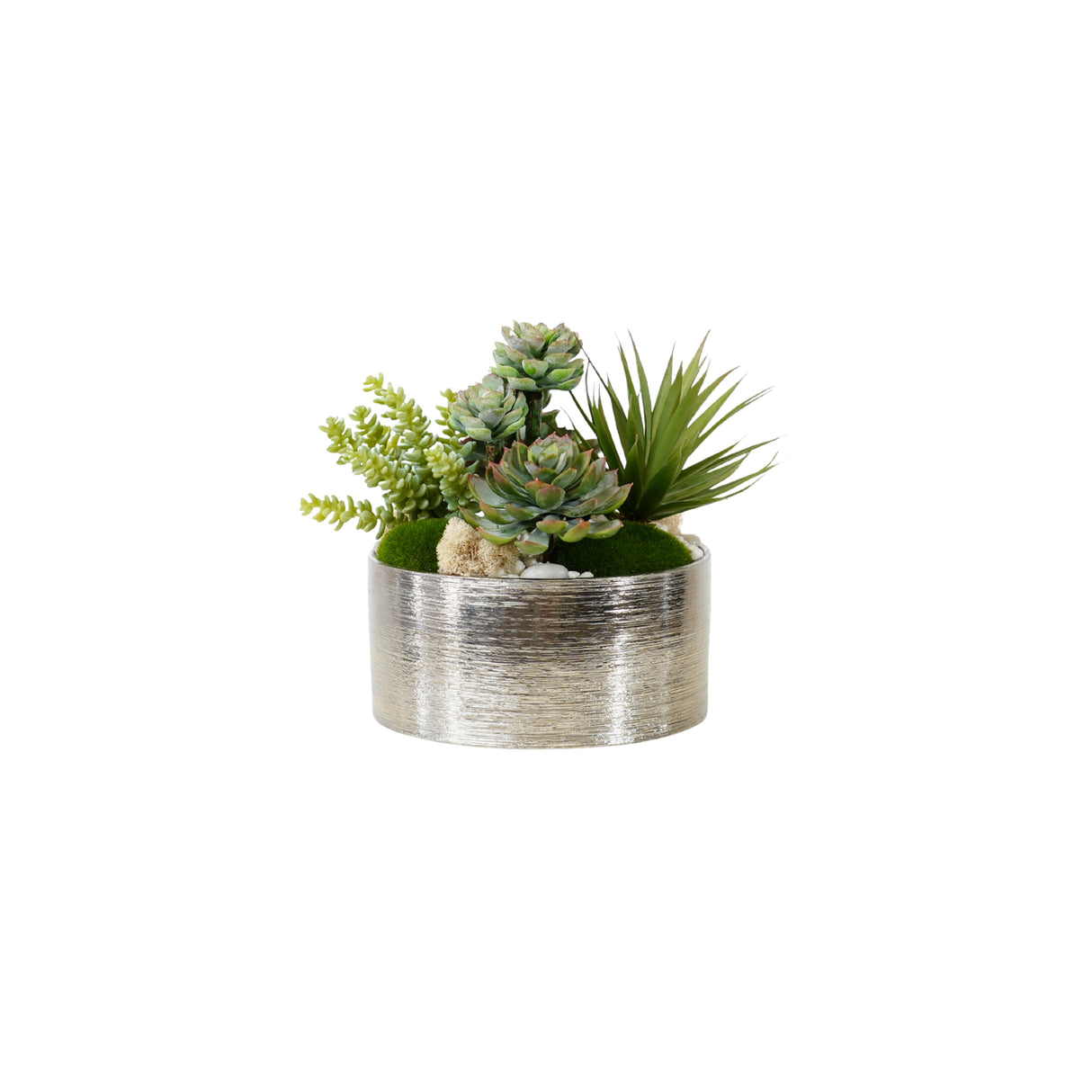 Succulents Arrangement in Silver Etched Bowl #S-76
