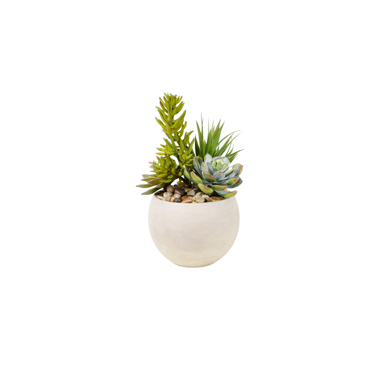 Succulent Arrangement in Granite Ceramic Sphere #S-78