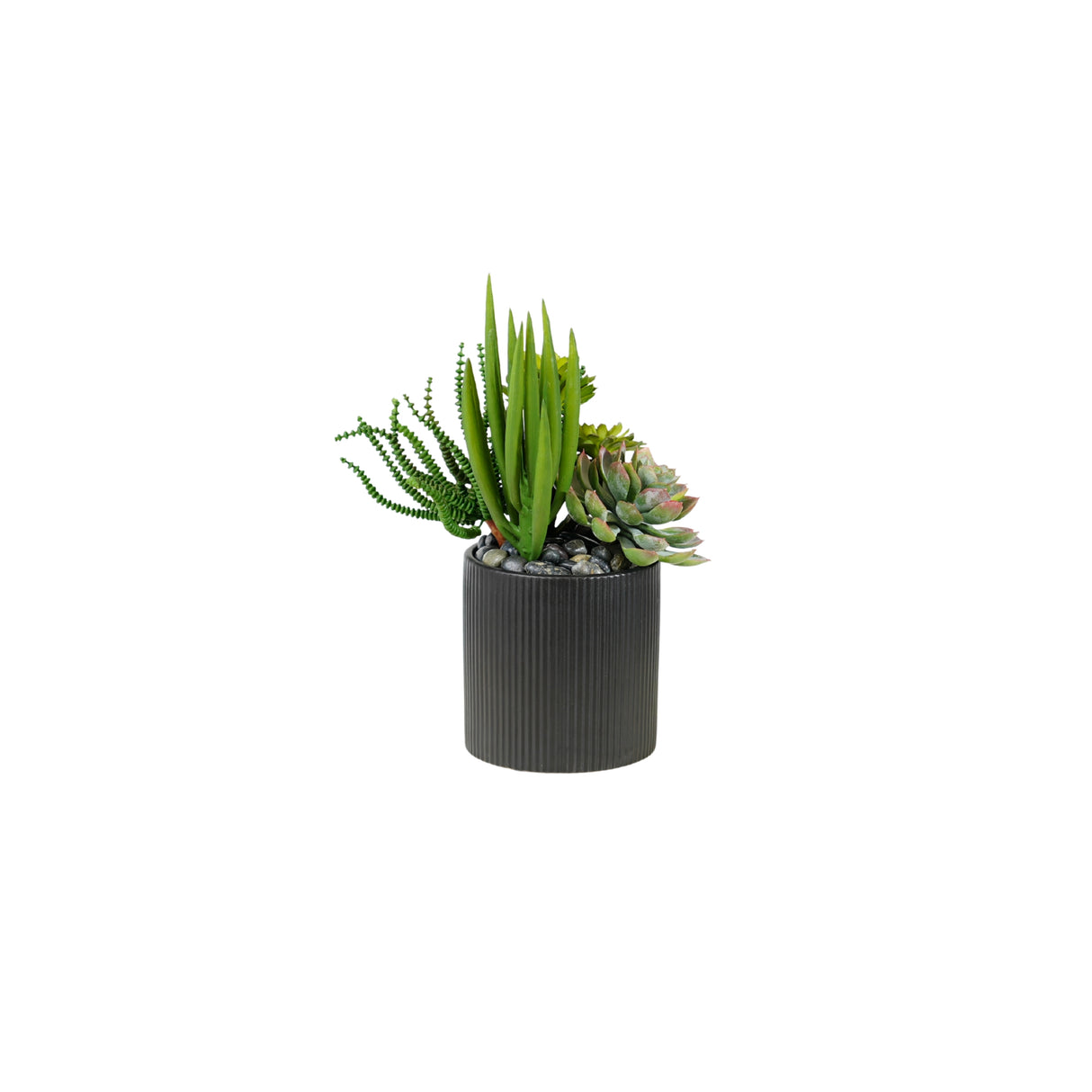 Succulents Arrangement in Ribbed Black Ceramic Planter #S-79