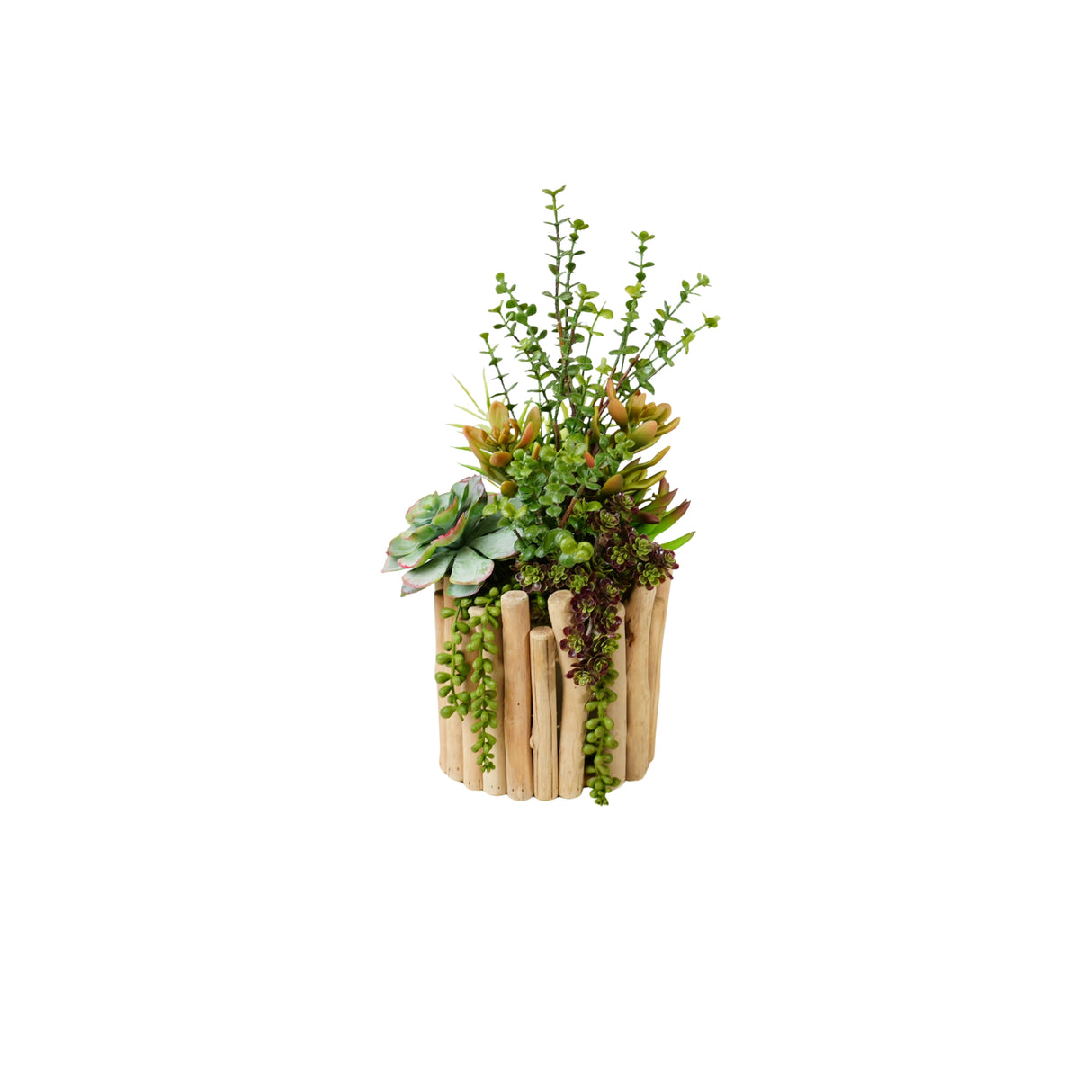 Succulents Arrangement in Glass Wood Planter #S-81