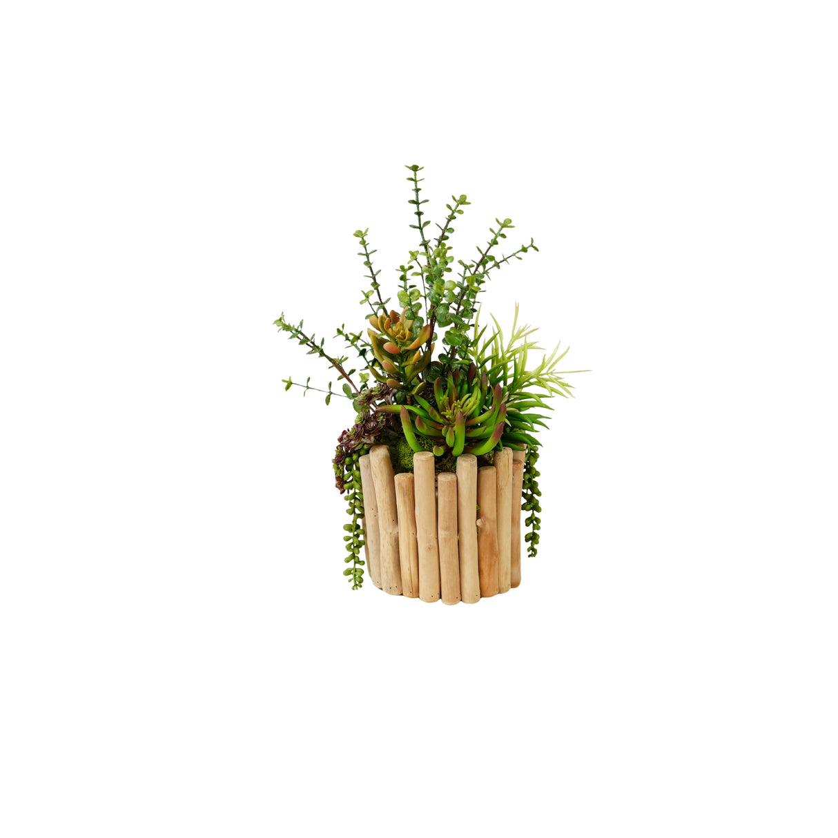 Succulents Arrangement in Glass Wood Planter #S-81