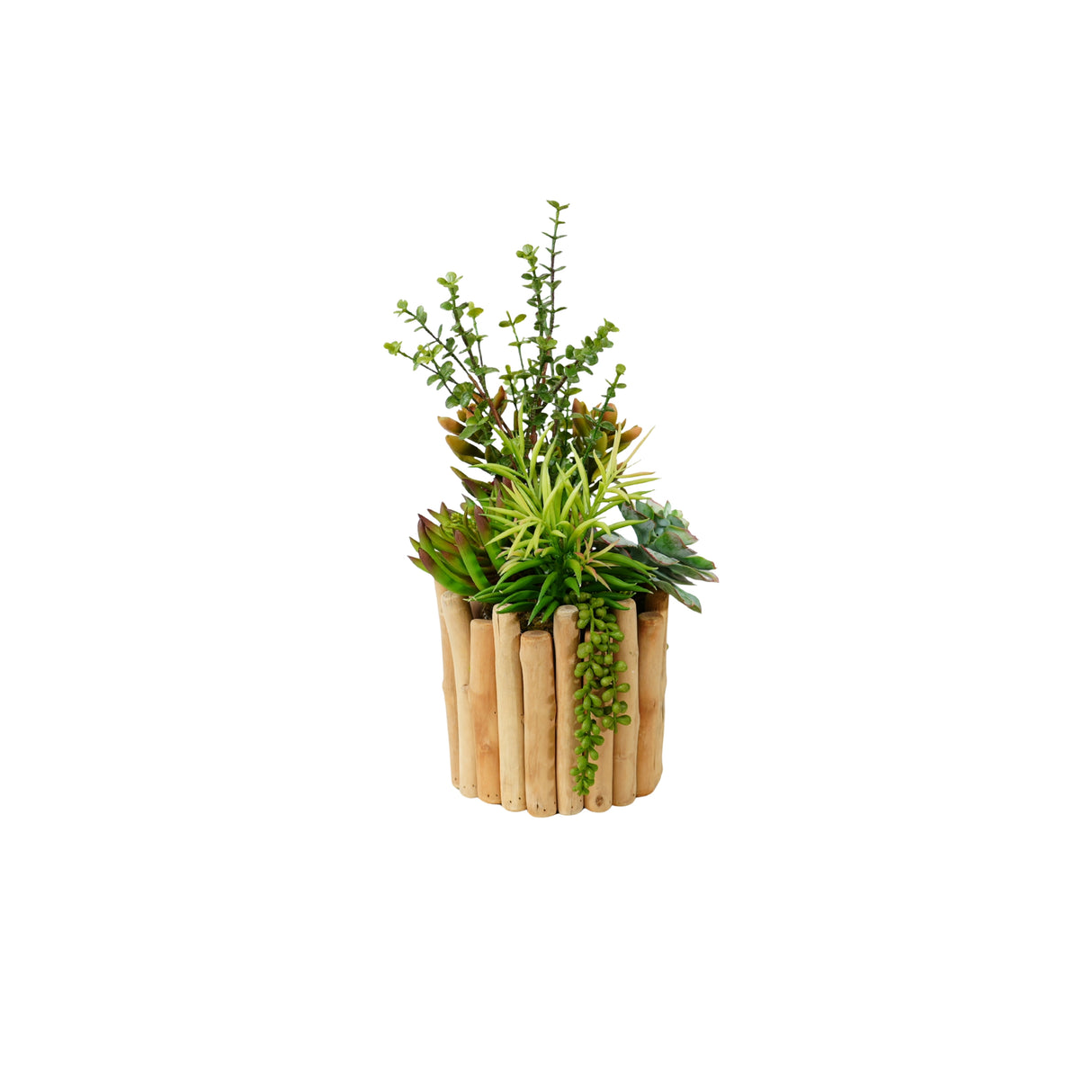 Succulents Arrangement in Glass Wood Planter #S-81