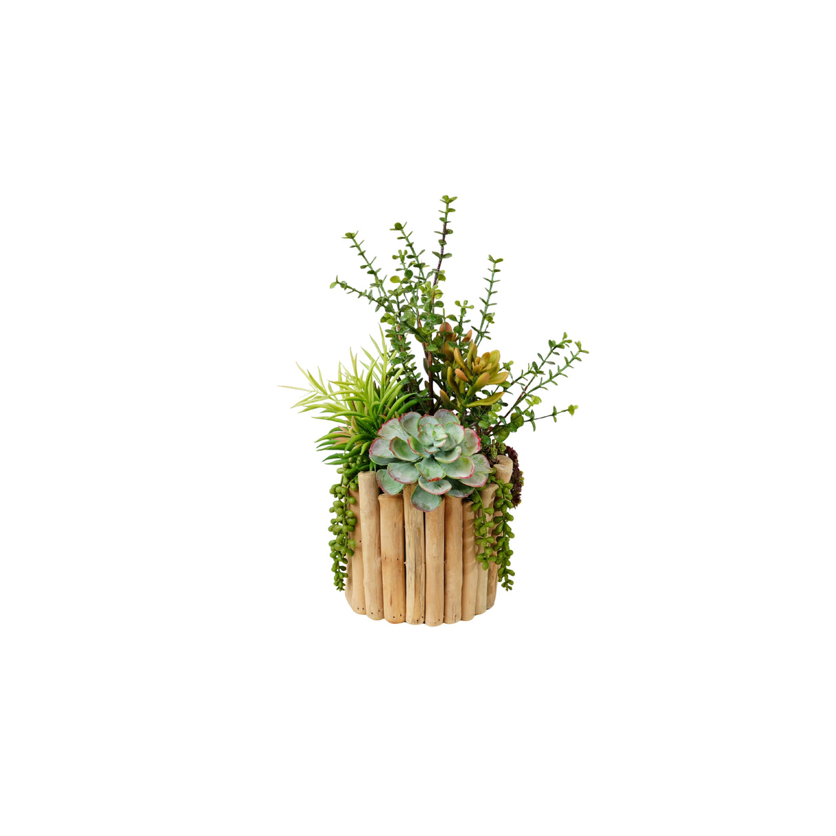 Succulents Arrangement in Glass Wood Planter #S-81