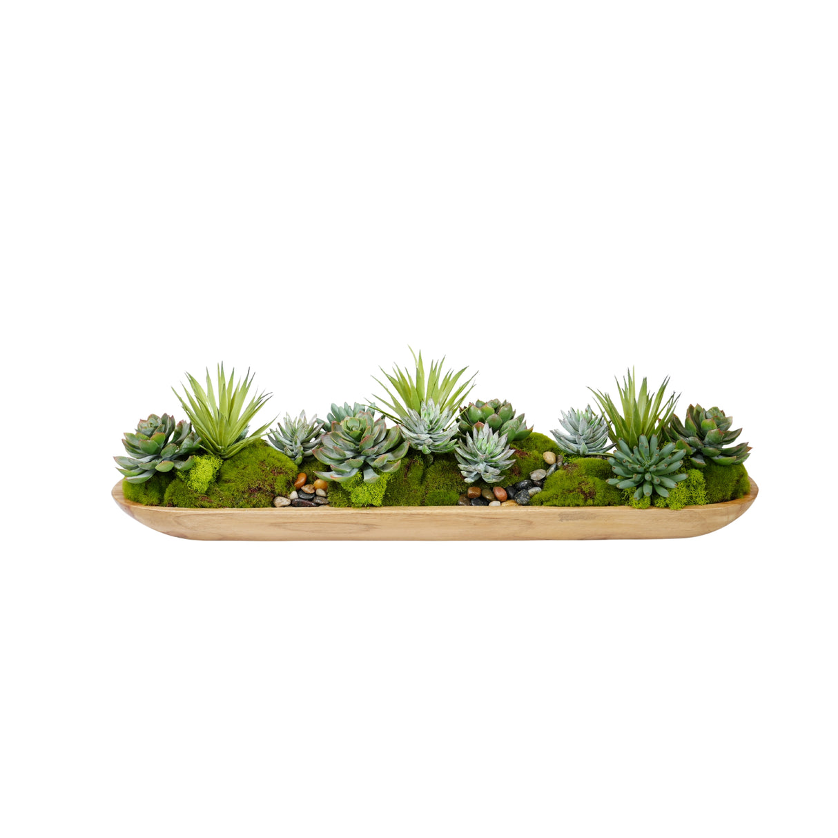 Succulents Arrangement in Teak Wood Tray #S-82
