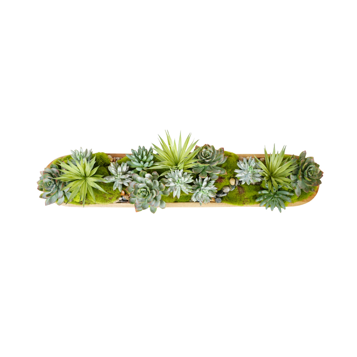Succulents Arrangement in Teak Wood Tray #S-82