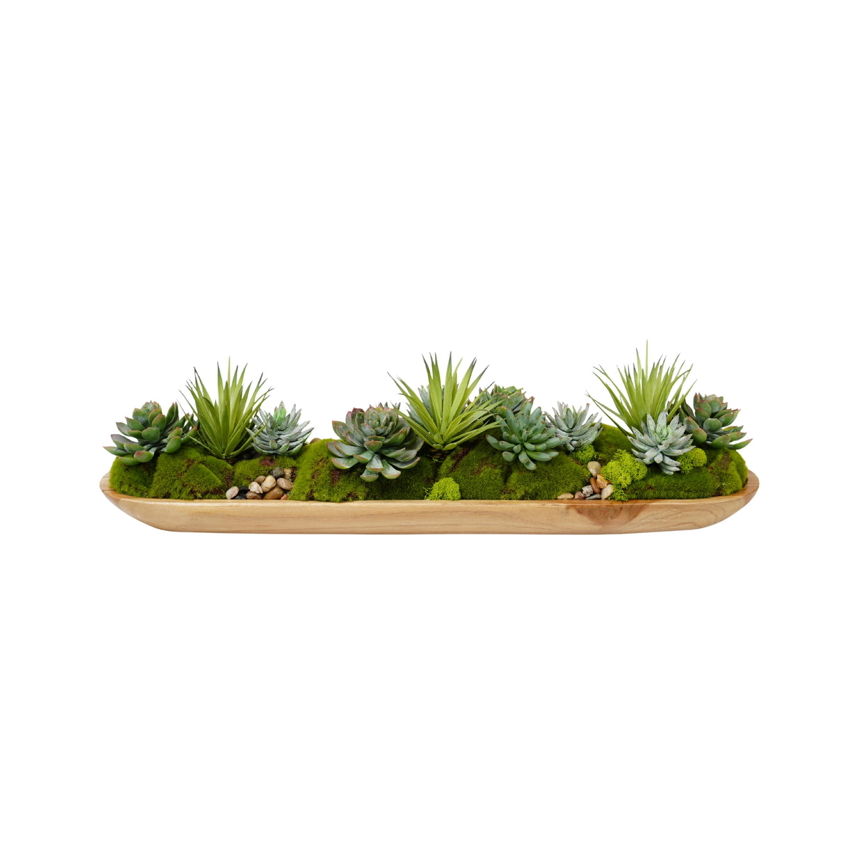 Succulents Arrangement in Teak Wood Tray #S-82