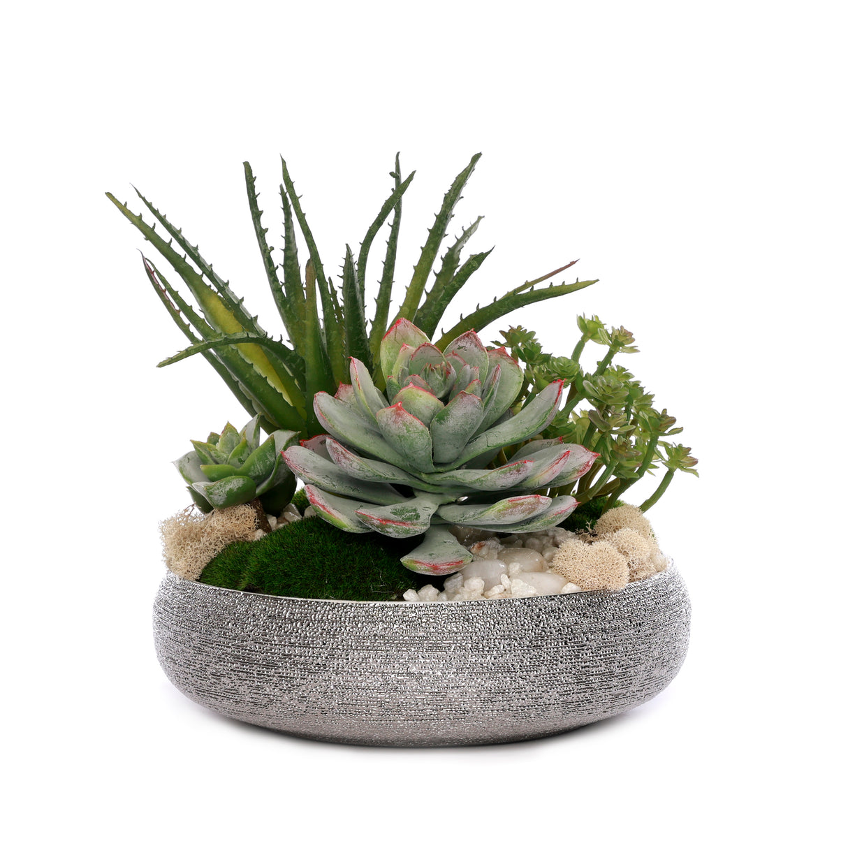 Succulent with Pebbles and Moss in Textured Silver Bowl #S-83