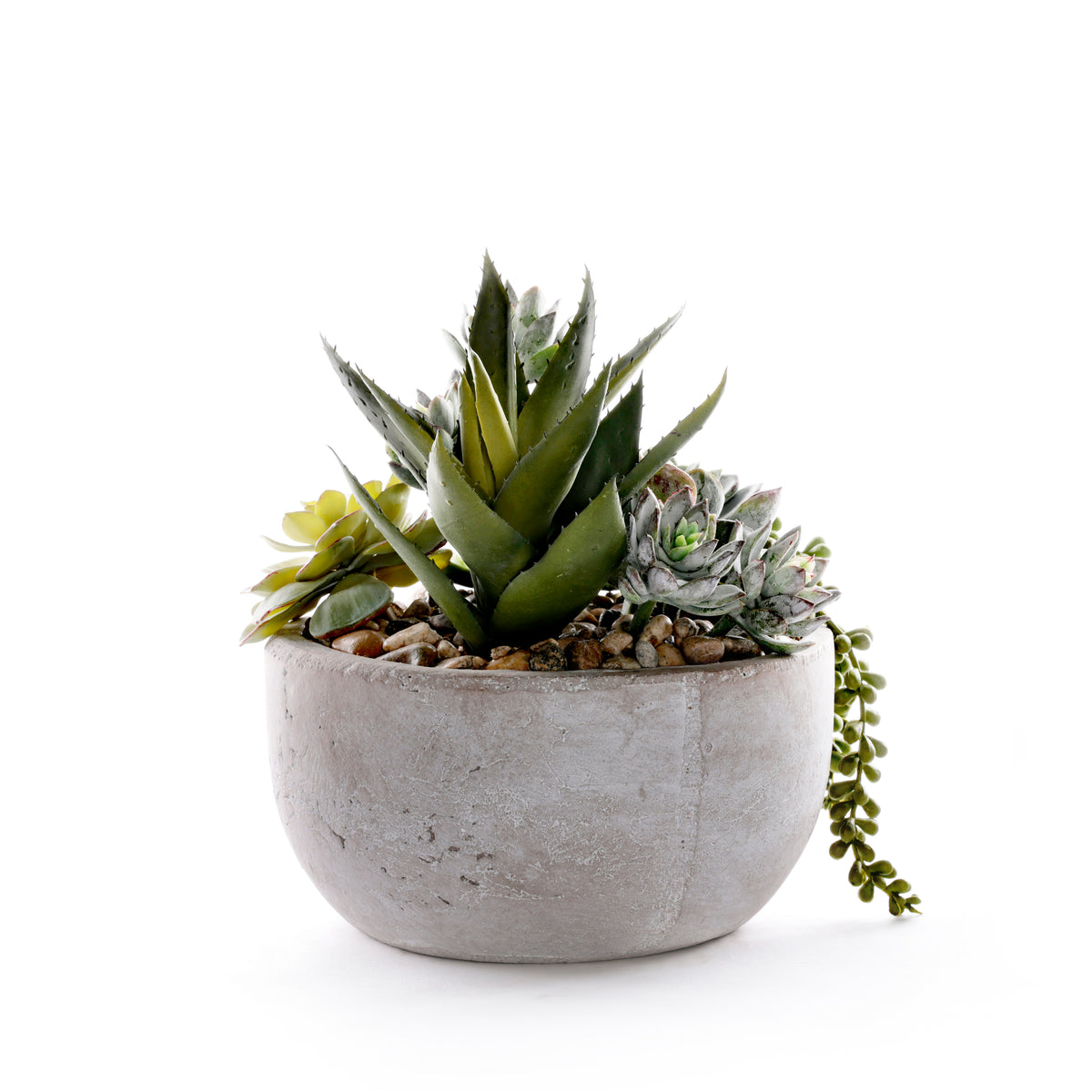 Succulents in Round Stone Wash Bowl #S-91