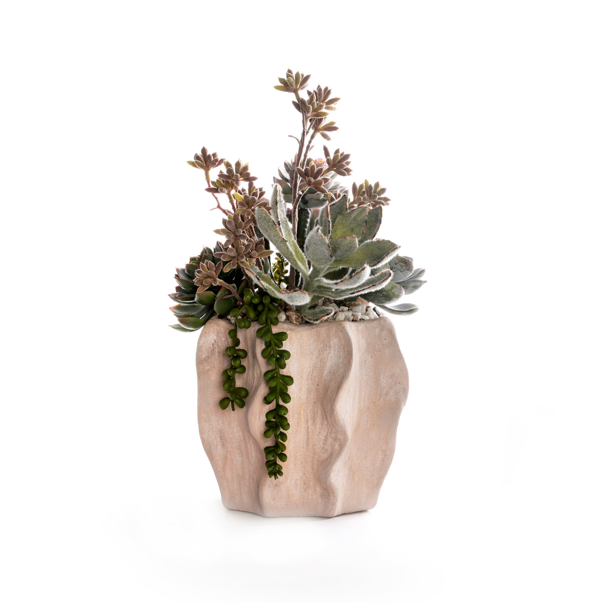 Succulents in Sculptured Planter #S-93
