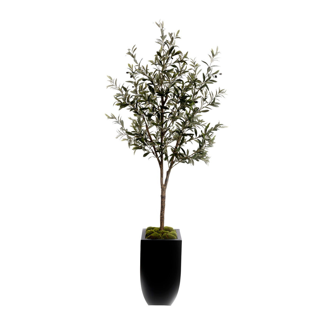 80"H Olive Tree With Faux Moss In Black Tapered Tin Planter #T-106