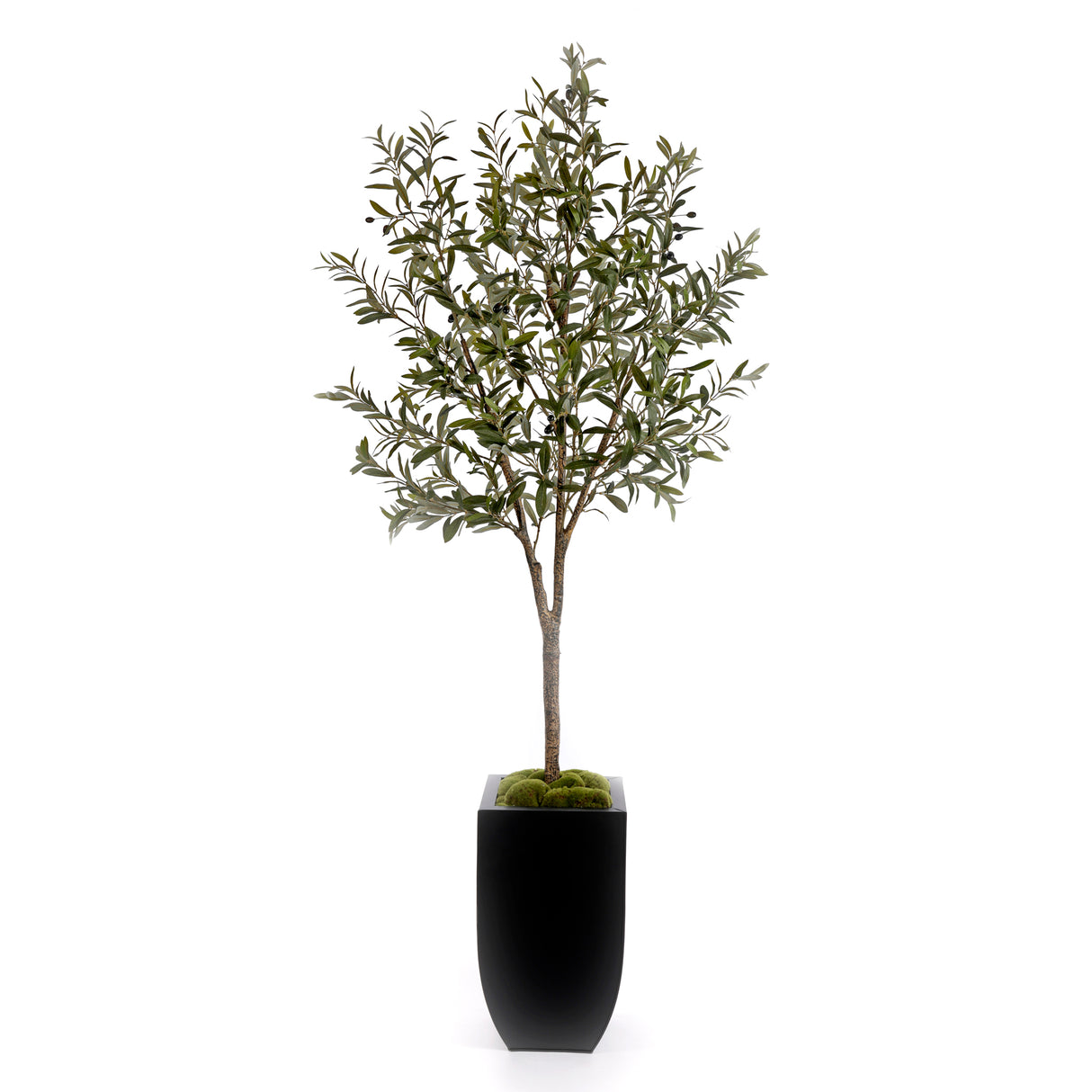 80"H Olive Tree With Faux Moss In Black Tapered Tin Planter #T-106