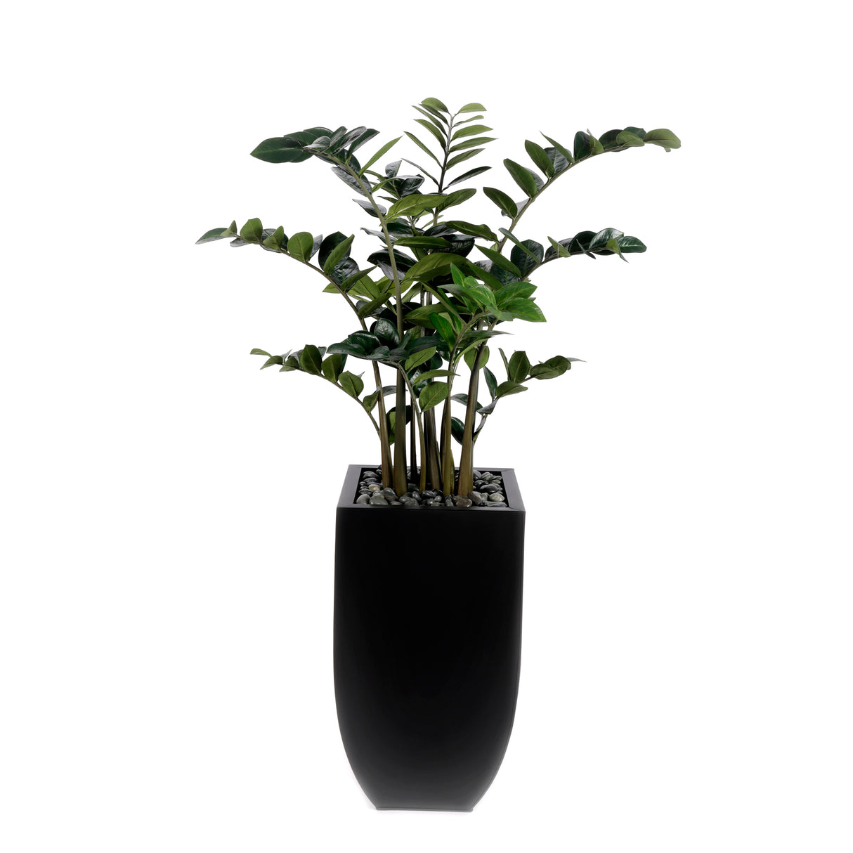 5'H Artifical ZZ Plant With Pebbles in Black Tin Planter #T-108