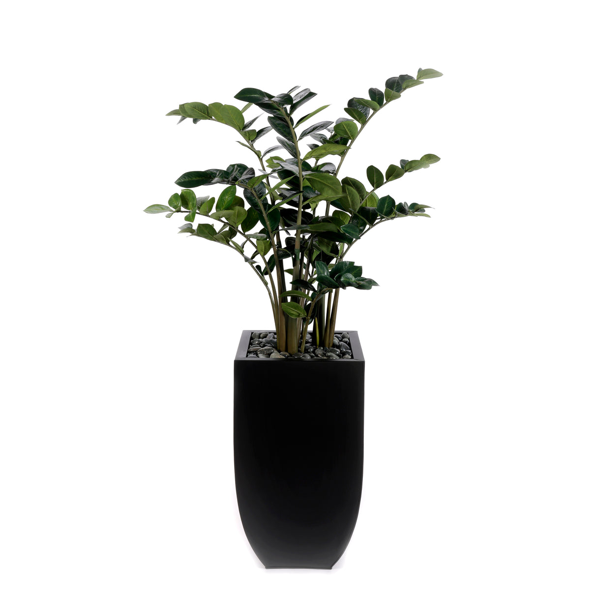 5'H Artifical ZZ Plant With Pebbles in Black Tin Planter #T-108