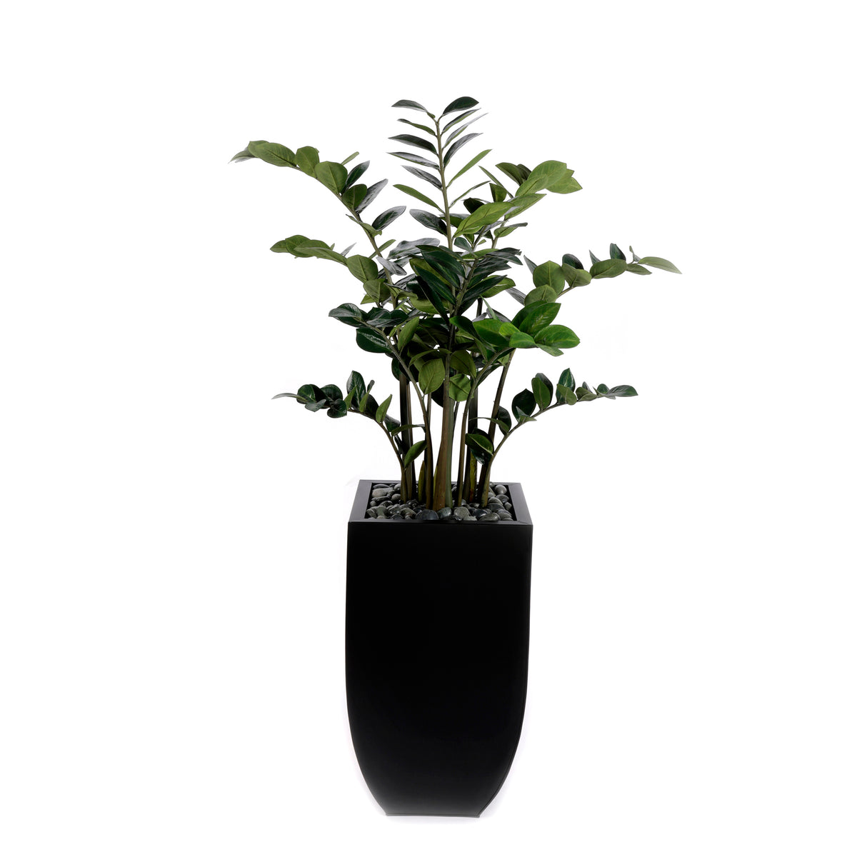5'H Artifical ZZ Plant With Pebbles in Black Tin Planter #T-108