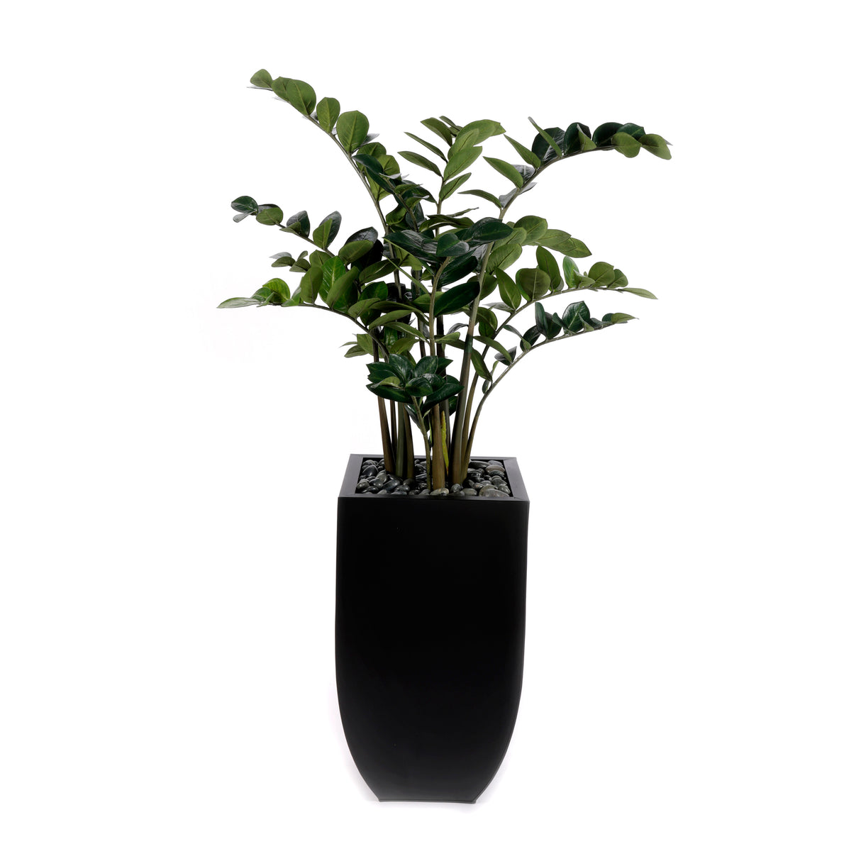 5'H Artifical ZZ Plant With Pebbles in Black Tin Planter #T-108