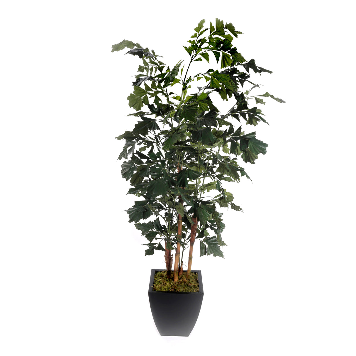 91"H Artifical Fishtail Palm Tree in Black Tapered Tin Pot #T-111