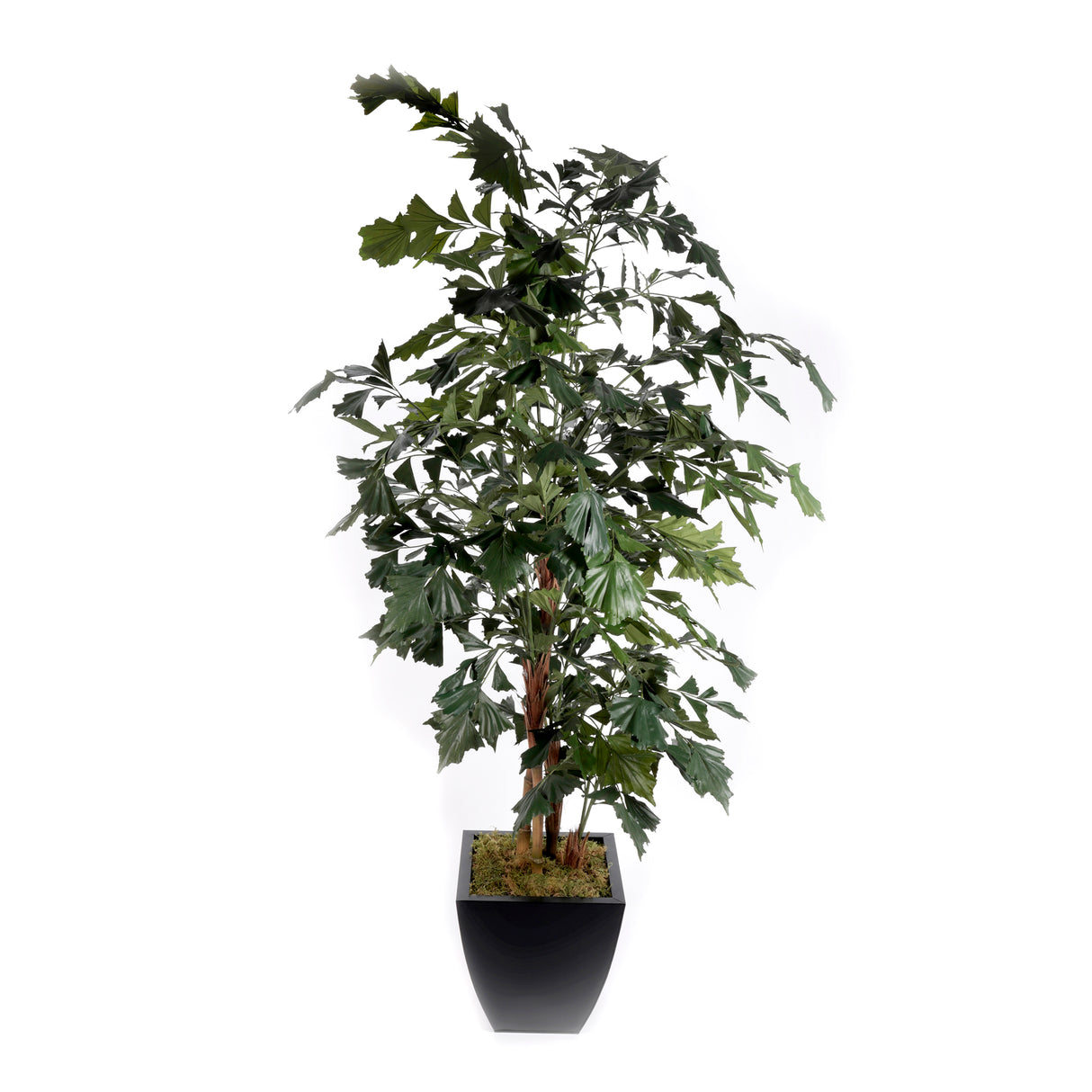 91"H Artifical Fishtail Palm Tree in Black Tapered Tin Pot #T-111