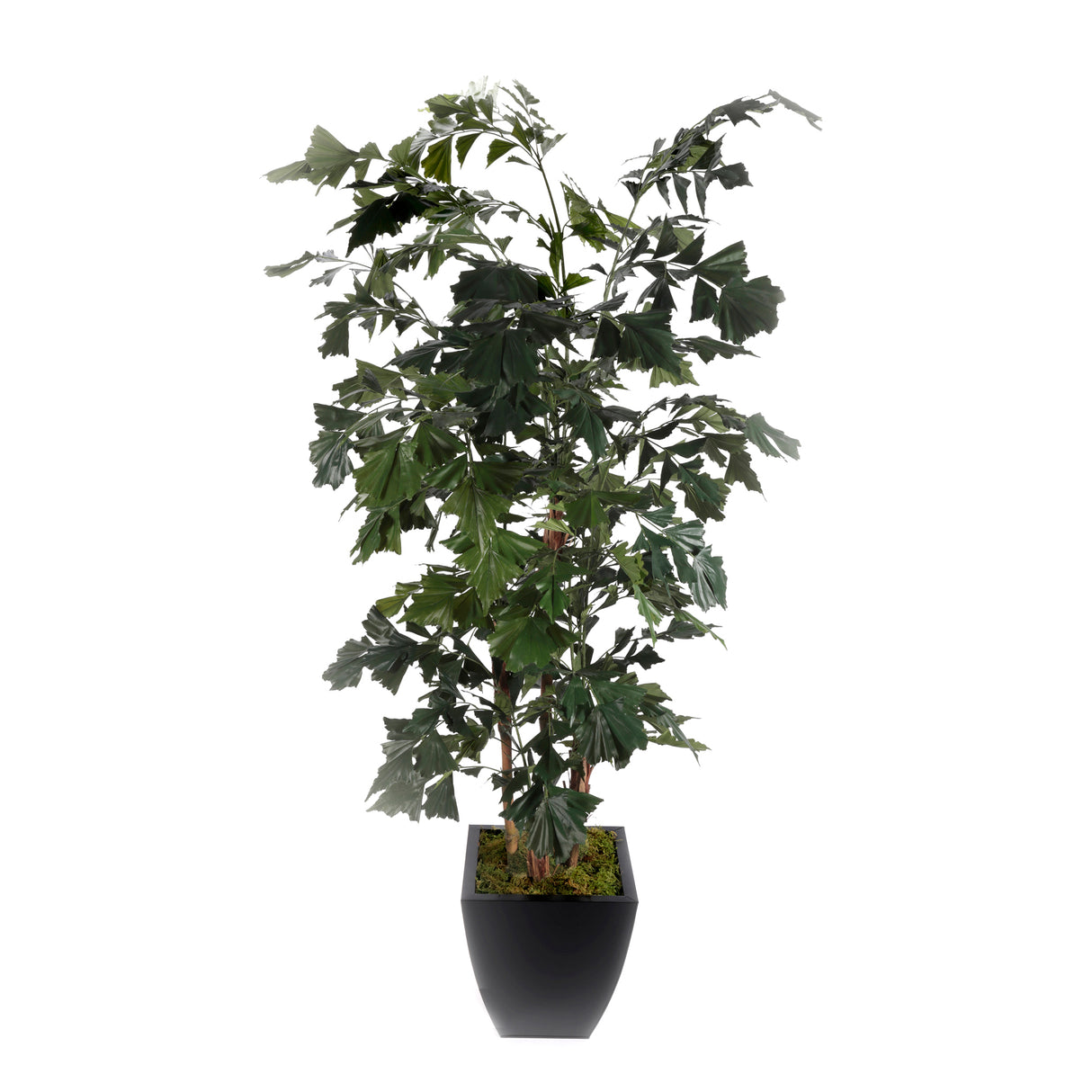 91"H Artifical Fishtail Palm Tree in Black Tapered Tin Pot #T-111