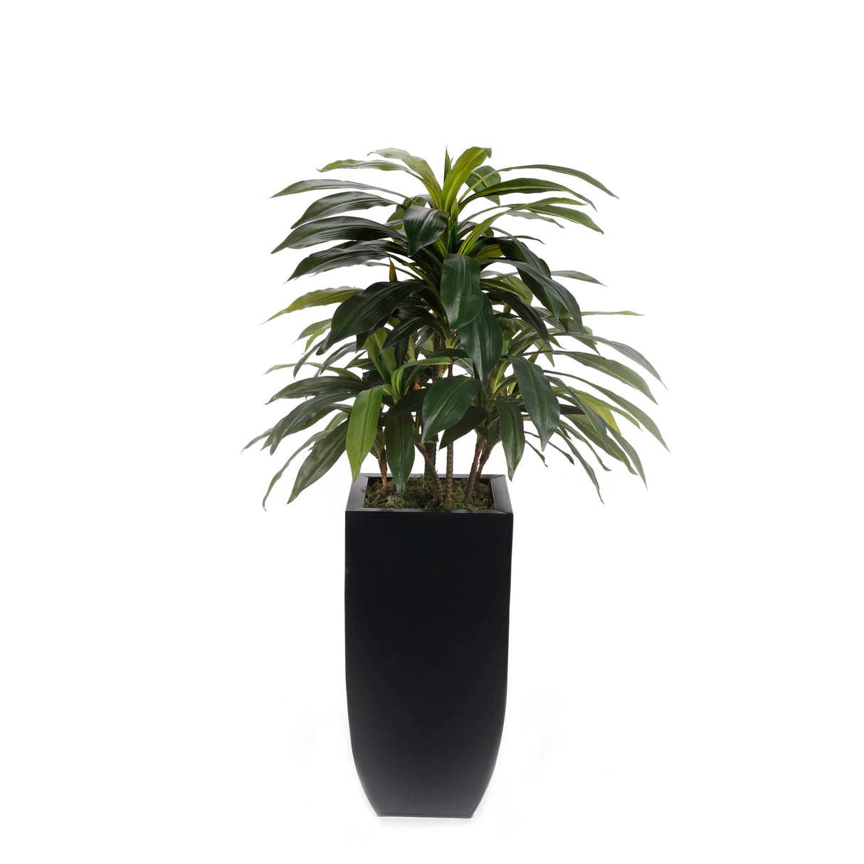 4'H Artifical Dracaena Plant In Black Tin Planter #T-113