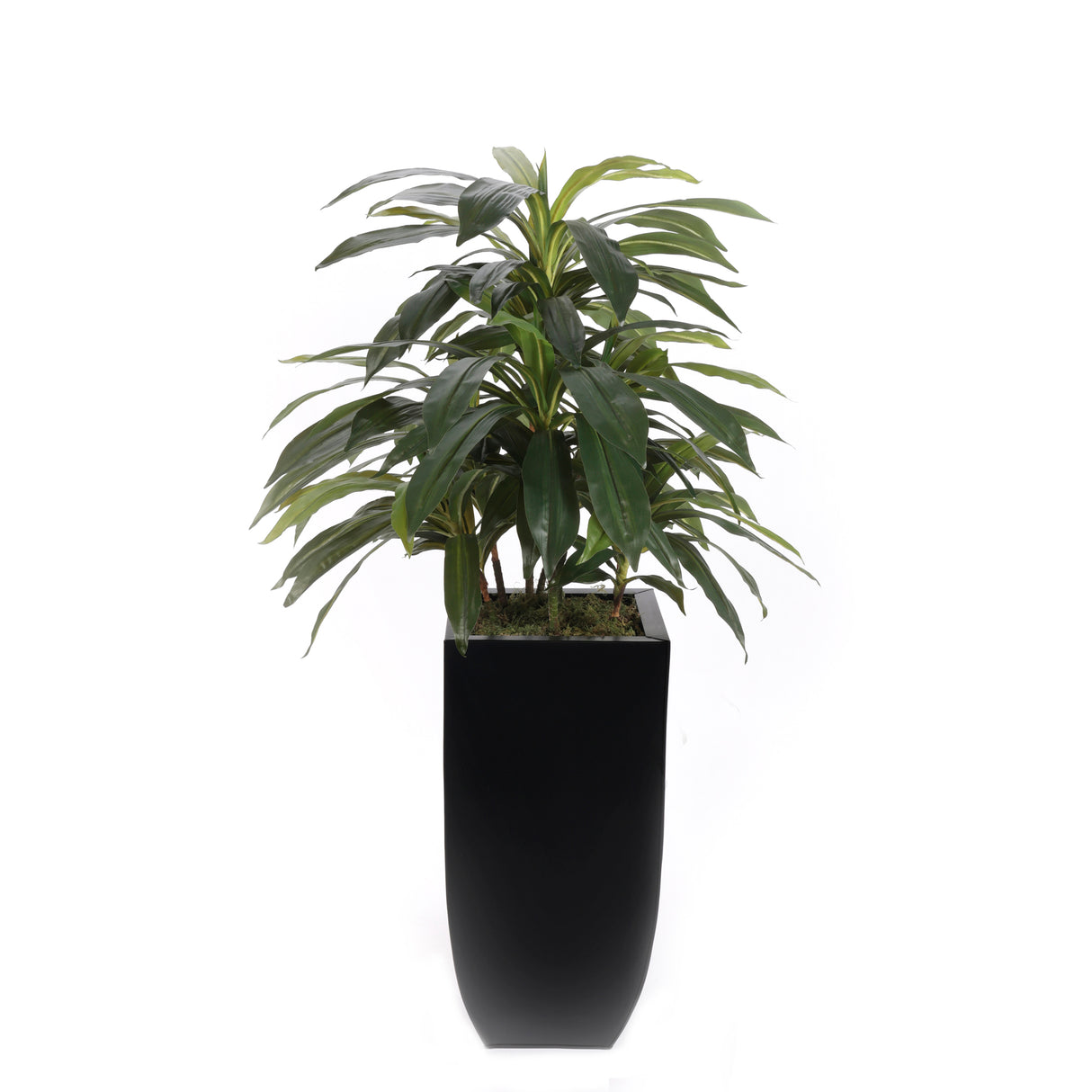 4'H Artifical Dracaena Plant In Black Tin Planter #T-113