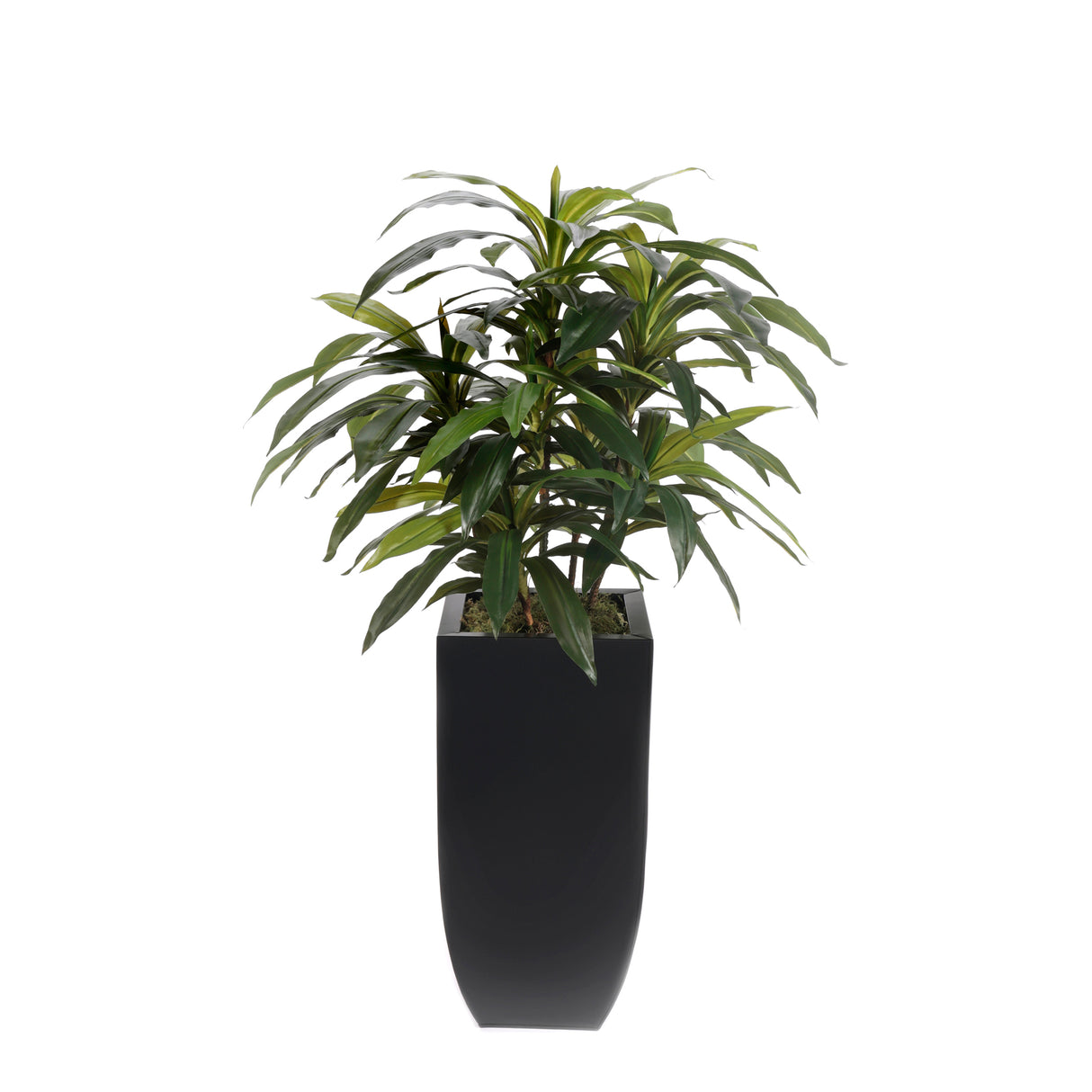 4'H Artifical Dracaena Plant In Black Tin Planter #T-113