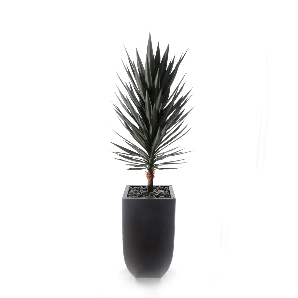 70"H Yucca Tree w/Blk Rocks in Black Metal Planter #T-117