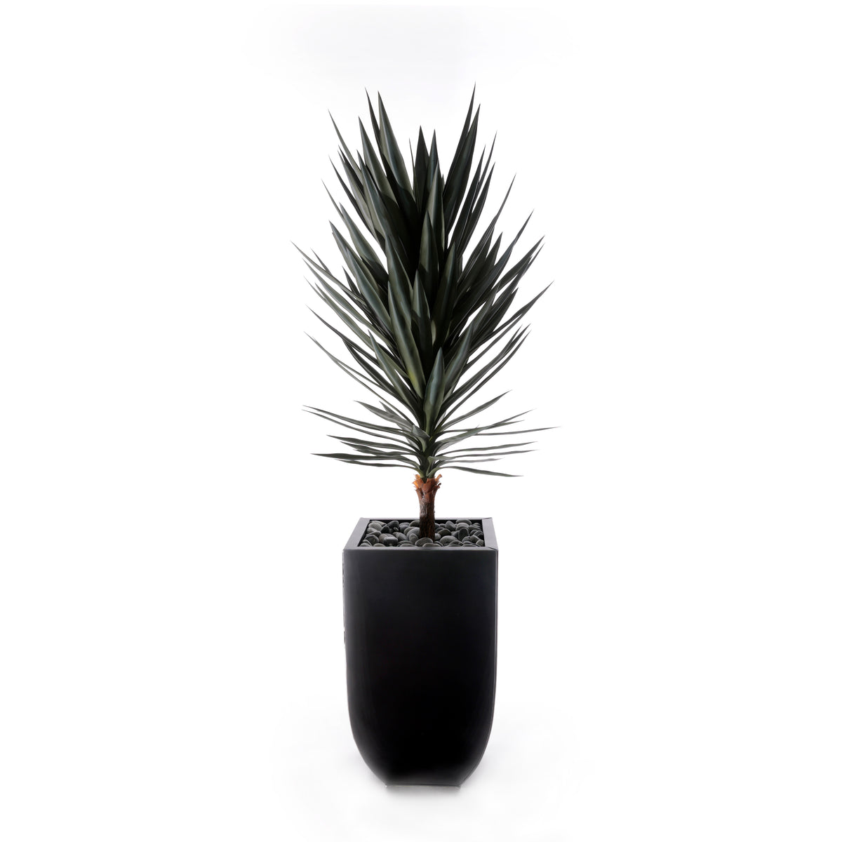 70"H Yucca Tree w/Blk Rocks in Black Metal Planter #T-117