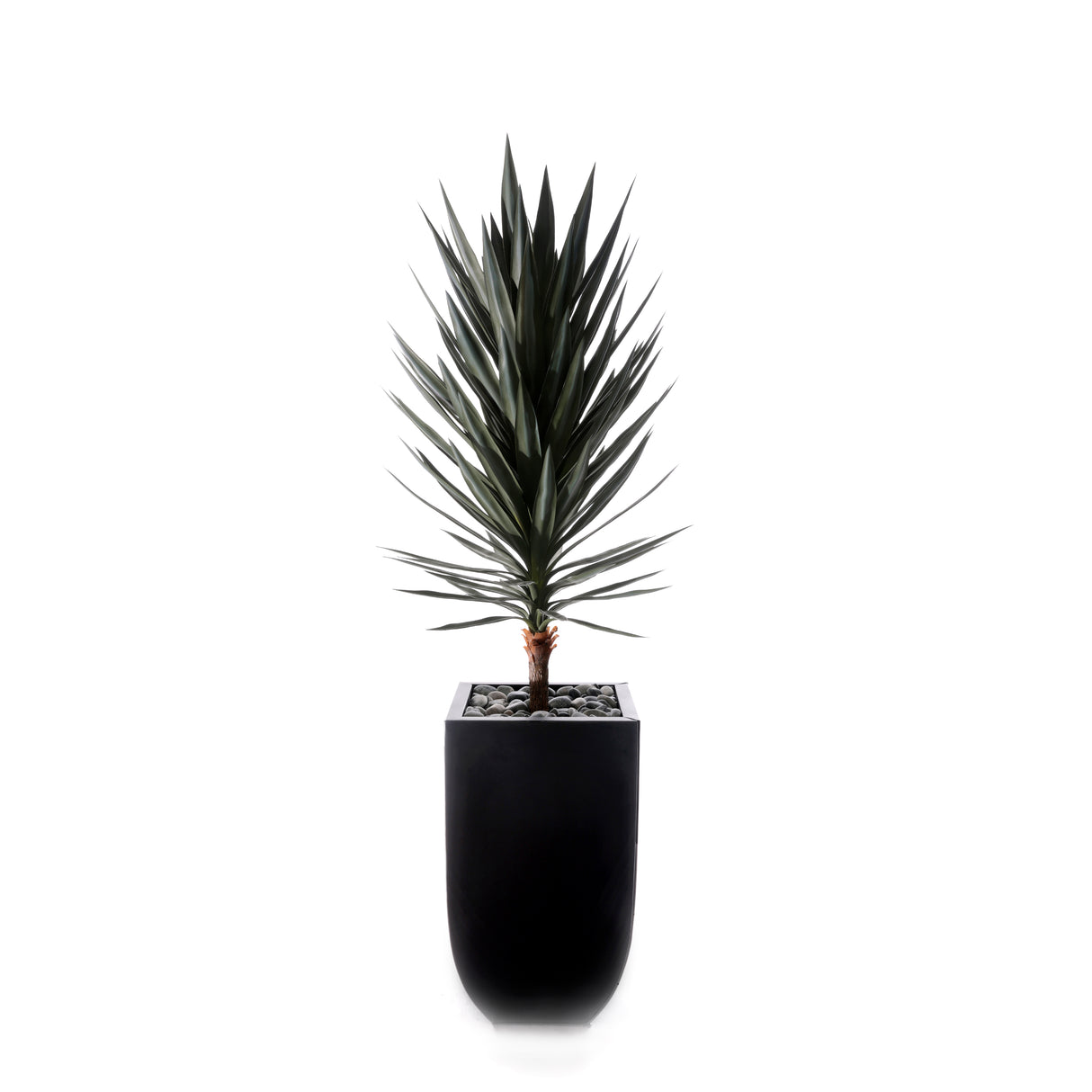 70"H Yucca Tree w/Blk Rocks in Black Metal Planter #T-117