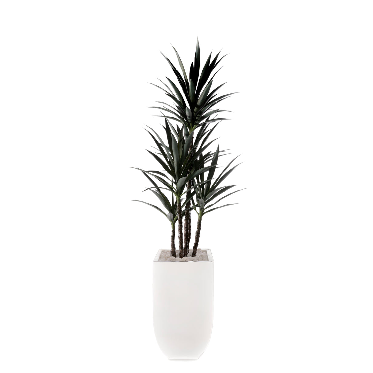 78"H Yucca Plant w/White Rocks in White Metal Planter #T-118