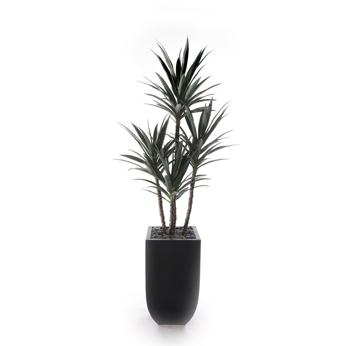 78"H Yucca Plant w/Blk Rocks in Black Metal Planter #T-119