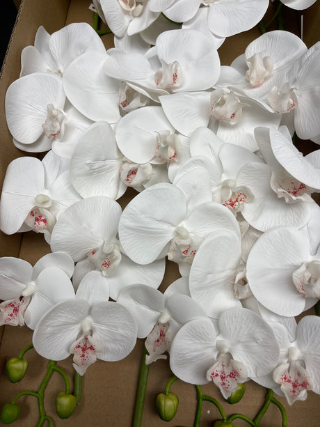 31” Real Touch Signal Stem Phalaenopsis Orchid Spray with 8 Flowers in White Color ( 6 Pcs per Box)  #ZFO420-WH