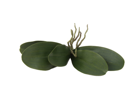 10.6" Artificial Orchid Leaves x5 Stems (12 Pcs Per Box) #ZSO125-GR