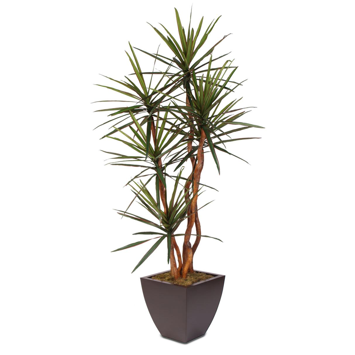 Artificial Yucca Tree with Natural Wood Trunks in a Metal Planter #178