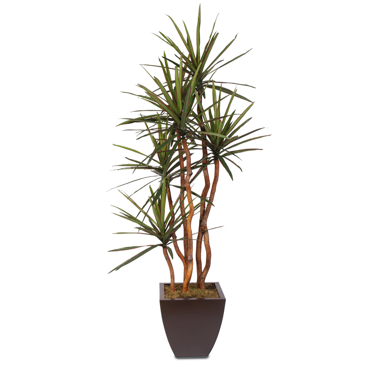 Artificial Yucca Tree with Natural Wood Trunks in a Metal Planter #178