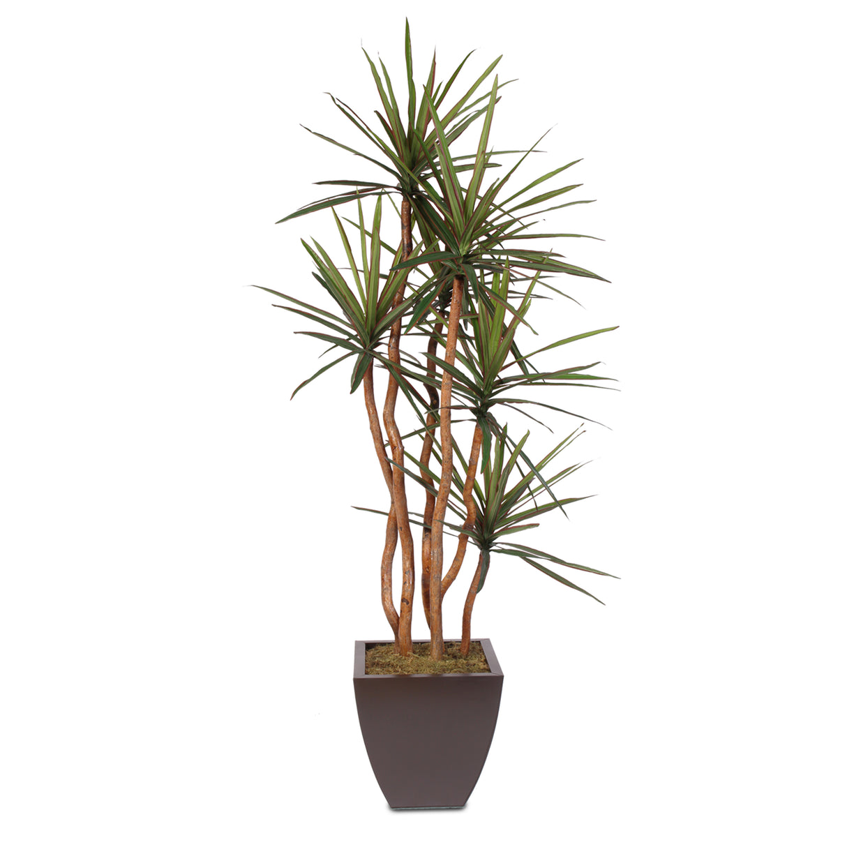 Artificial Yucca Tree with Natural Wood Trunks in a Metal Planter #178