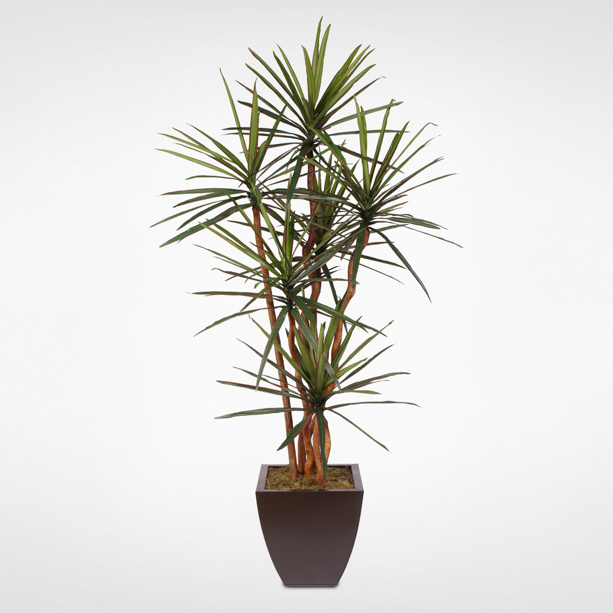 Artificial Yucca Tree with Natural Wood Trunks in a Metal Planter #178
