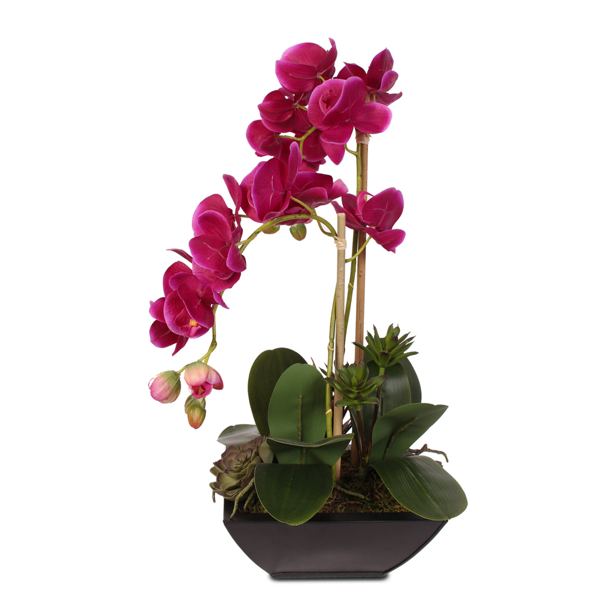 Violet Real Touch Phalaenopsis Orchid & Succulents in a Contemporary Metal Pot #F-23D