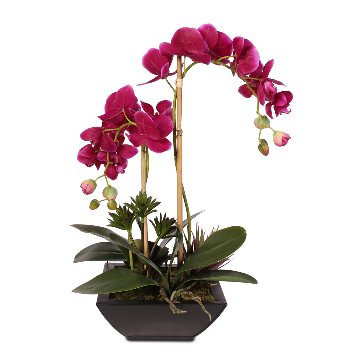 Violet Real Touch Phalaenopsis Orchid & Succulents in a Contemporary Metal Pot #F-23D